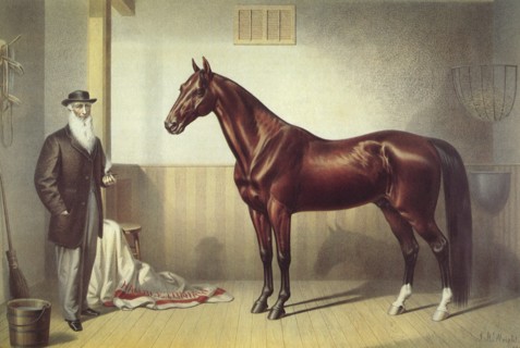 Hambletonian (Stall Scene)