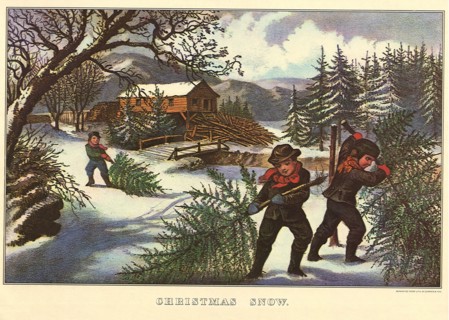 Kids with Christmas Pines in Snow