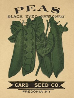 Peas Seed Packet