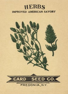 Savory Seed Packet