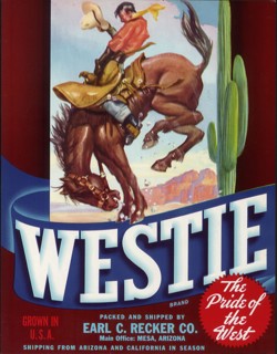 Cowboy on Bucking Horse