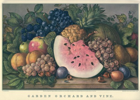 Garden Orchard And Vine