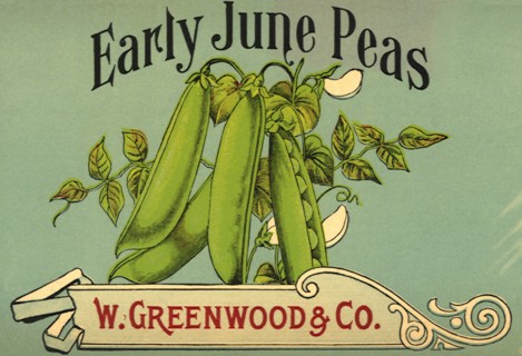 Peas in Pods Label