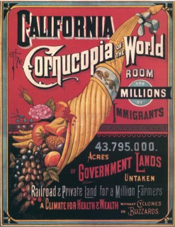 Cornucopia Poster