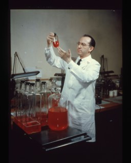 Jonas Salk