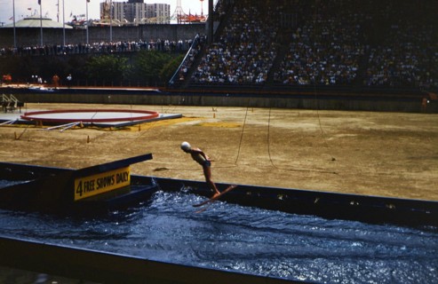 Trick skier during a show inside a stadium filled with spectators (possibly at a fair) circa 1957-1960.
