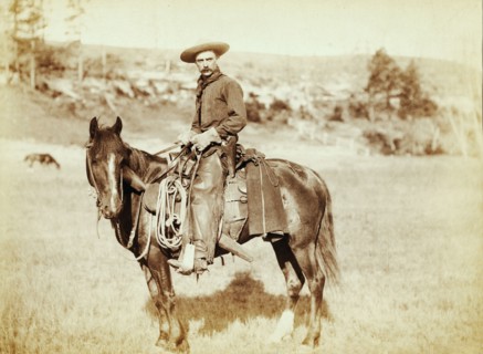 Photograph shows side view of a cowboy on a horse, looking towards the camera 1888.