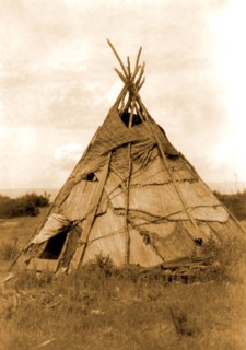 Edward S. Curits Native American Indians - Photograph shows reed mat covered tepee in grassy field, Washington circa 1910.