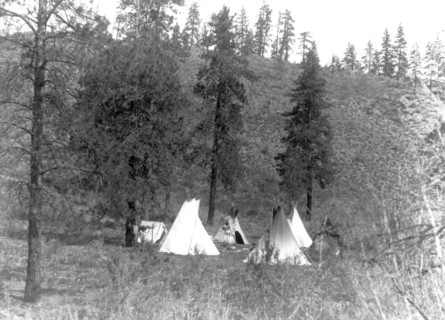 Edward S. Curtis Native American Indians - Tipis and a tent under trees in a Spokane camp circa 1910.