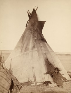 A young Oglala girl sitting in front of a tipi, with a puppy beside her, probably on or near Pine Ridge Reservation 1891.