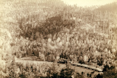 A pretty view.' At 'picnic' grounds on Homestake Road 1890.