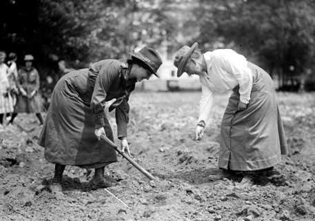 Girl Scouts gardening circa 1917.