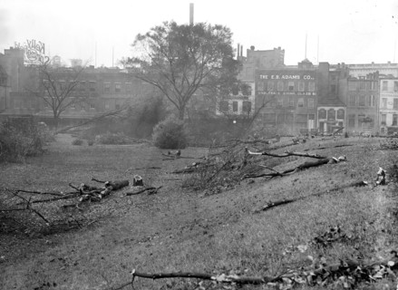 District of Columbia Parks - Cutting trees on mall sites for new war buildings circa 1917.