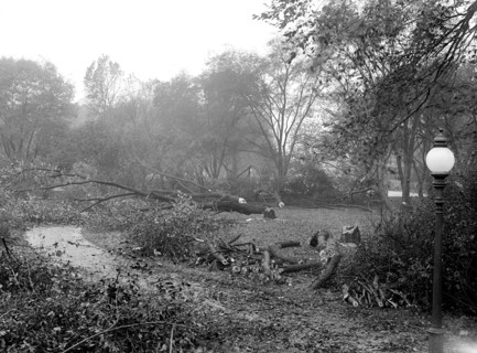 District of Columbia Parks - Cutting trees on mall sites for new war buildings circa 1917.