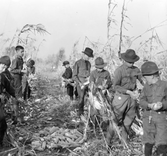 Boy Scouts working on a Boy Scout Farm circa 1917.