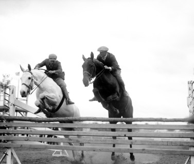 Horses jumping over rails in race circa 1919 .