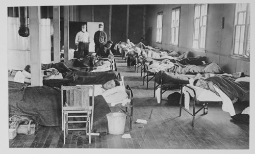 Flu Hospital