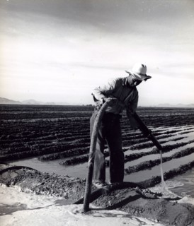 Irrigating