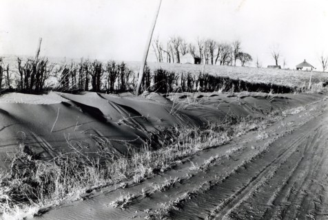 Dust Bowl 4