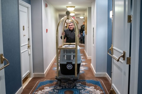 The Presidential Turkeys arrive at The Willard Hotel in Washington
