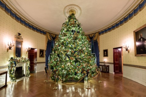 The Blue Room of the White House