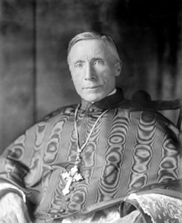 Cardinal Gibbons - Cardinal James Gibbons