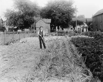 Man standing in a War Garden
