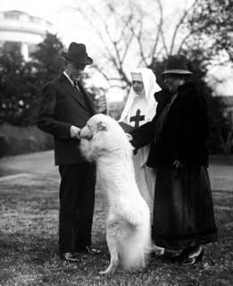 President Calvin Coolidge with dog outdoors with two women
