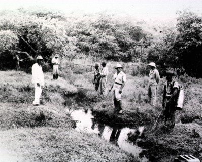 Malaria control unit no. 202 sprays the swamps in Brazil