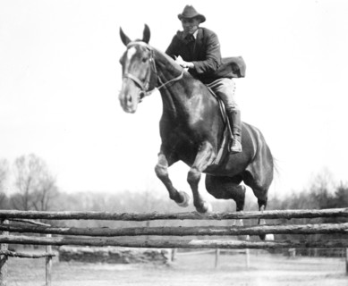 Horse jumping at equestrian event