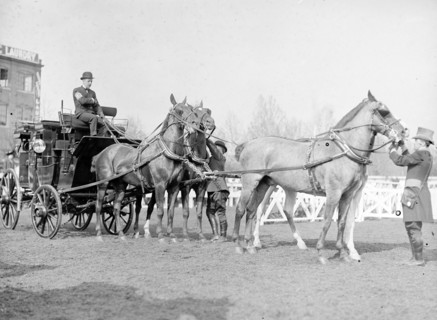 Adolphus Busch III at a horse show