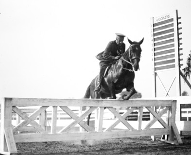 Horse jumping at equestrian event