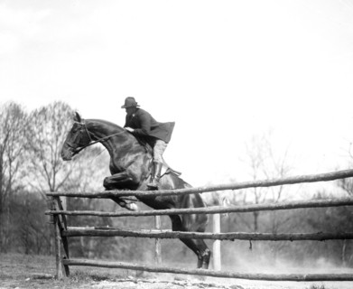 Horse jumping at equestrian event