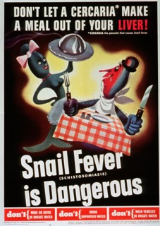 Don't let a cercaria make a meal out of your liver