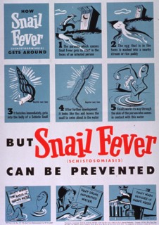 But snail fever