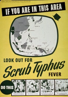 If you are in this area look out for scrub typhus fever