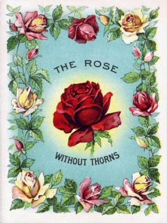 The rose without thorns  Alternate Title: Wampole's Preparation .