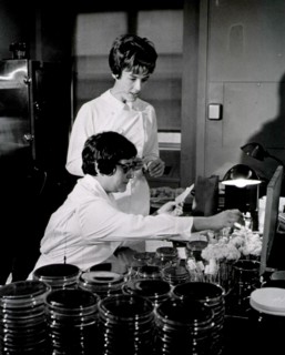 Two female medical technicians