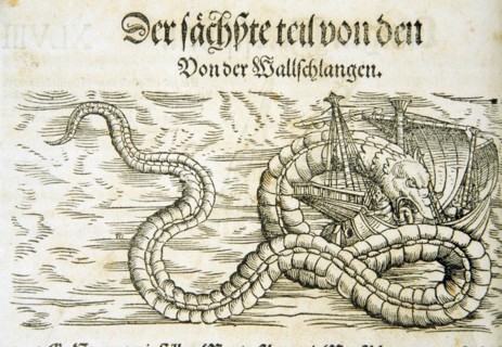 Woodcut illustration of a gigantic snake