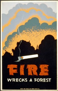 Fire wrecks a forest