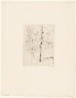 The Lake in the Bois de Boulogne - 1889