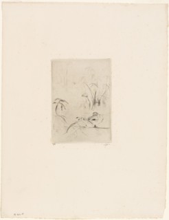 The Duck  - 1889