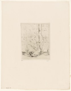 The Goose - 1889