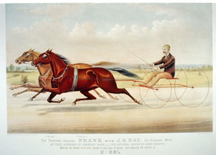 The trotting gelding Frank with J.O. Nay