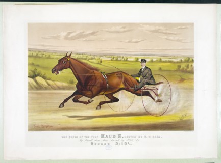 The queen of the turf Maud S.