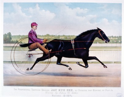 Horse Racing History