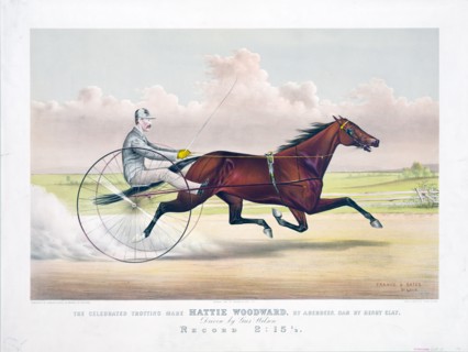 Horse Racing History