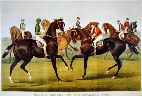 19th Century Equine Illustratioin