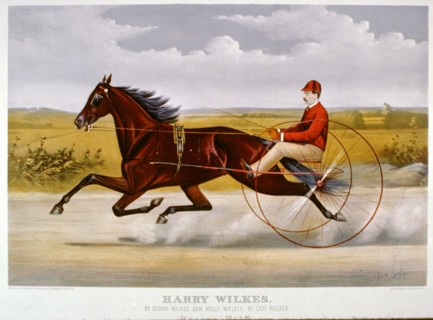 Horse Racing History