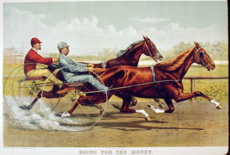 Horse Racing Illustrations